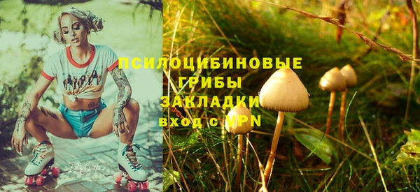 прущая мука Алзамай