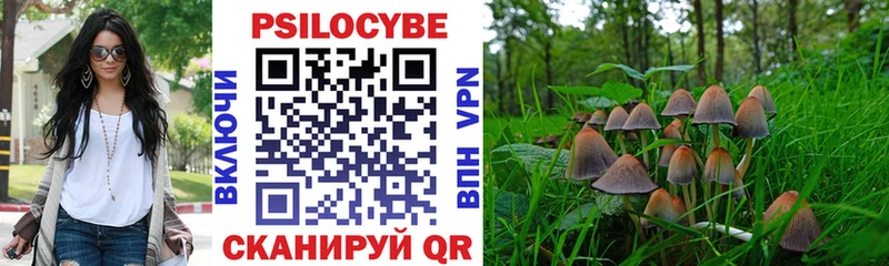 Псилоцибиновые грибы прущие грибы  Тайшет 